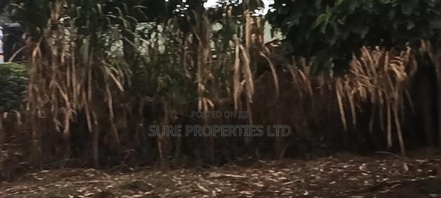 100x100 Prime Plot in Thamanda