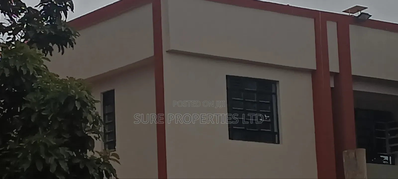 100x100 Prime Plot in Thamanda
