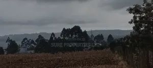 100x100 Prime Plot in Thamanda