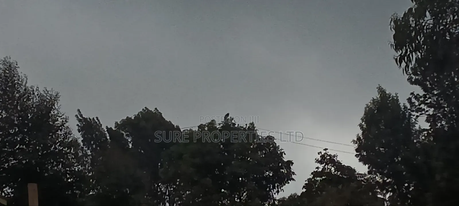 100x100 Prime Plot in Thamanda