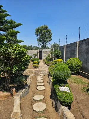 4bdrm Maisonette in Kiamunyi for sale