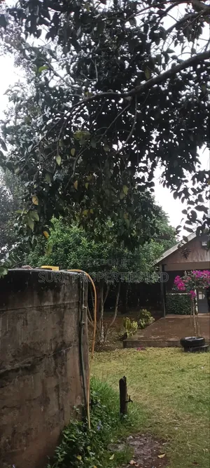11⁄2 Acres at Kamandura