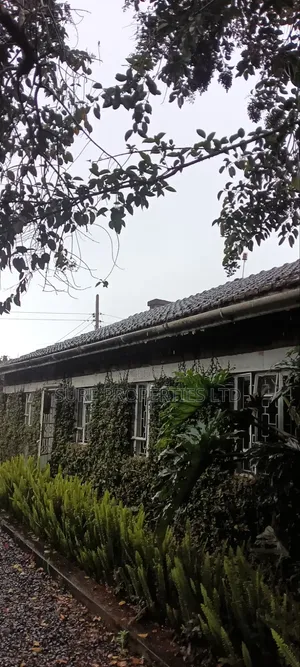11⁄2 Acres at Kamandura