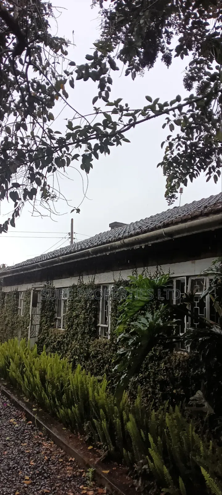 11⁄2 Acres at Kamandura