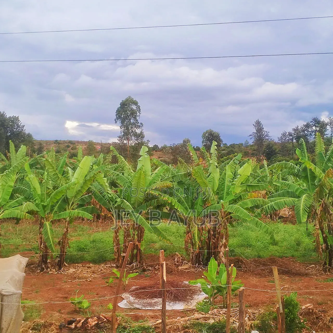 3 Prime Acres Along Nairobi Nyeri Road