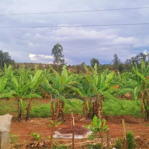 3 Prime Acres Along Nairobi Nyeri Road