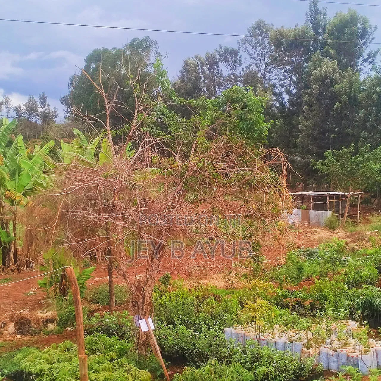 3 Prime Acres Along Nairobi Nyeri Road