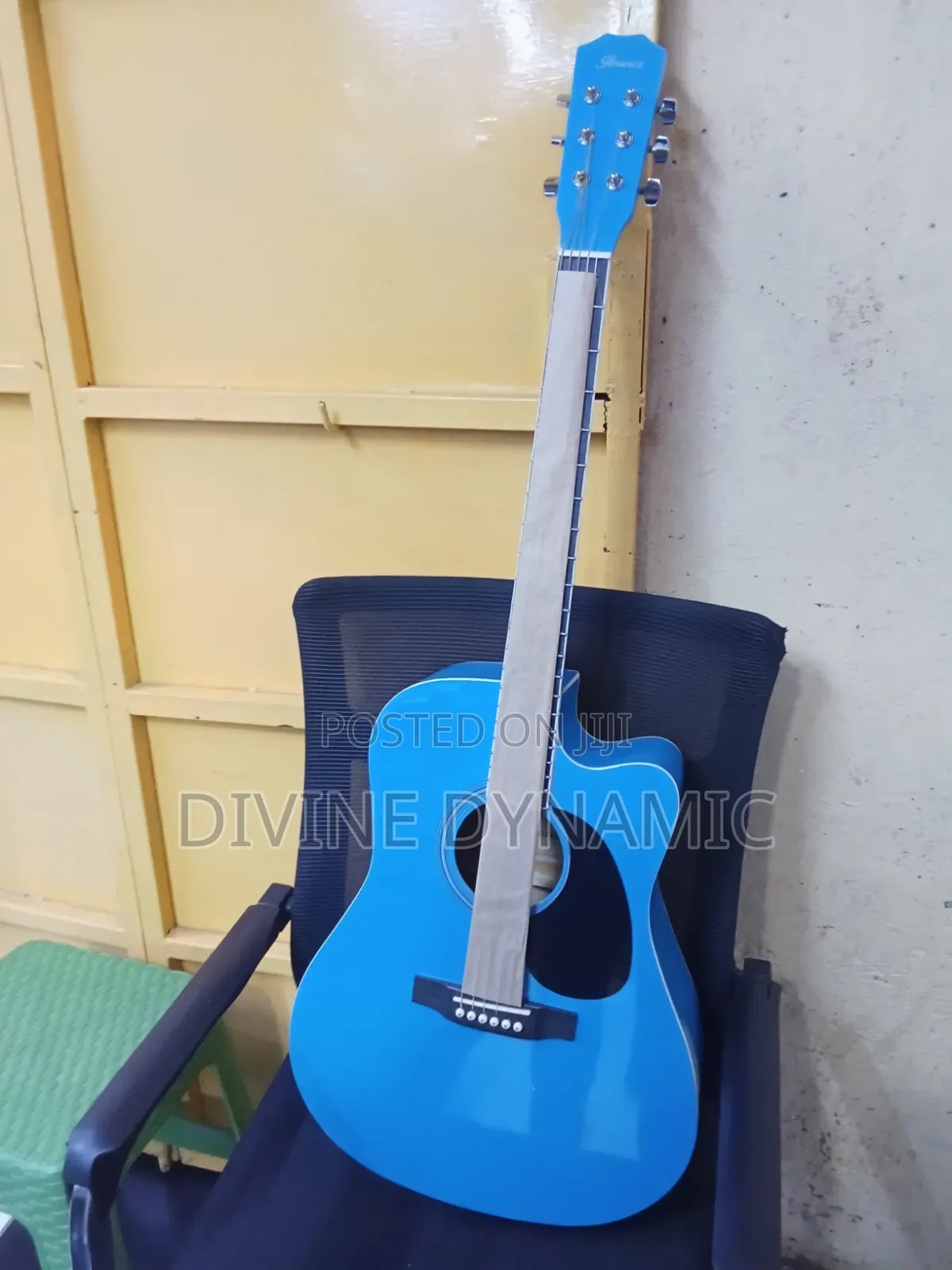 Ibanez Acoustic Quitar