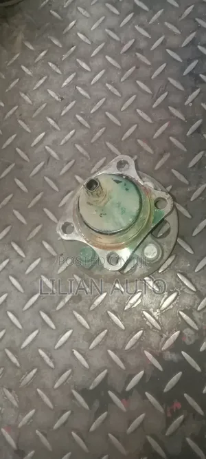 Rear Hub Belta