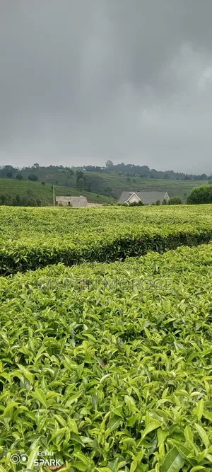 5 Acres Limuru