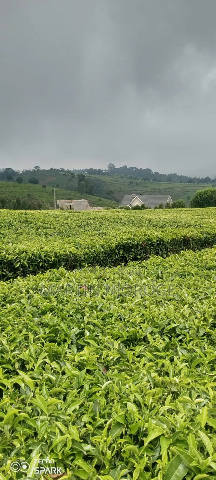 5 Acres Limuru