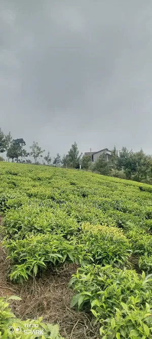 5 Acres Limuru