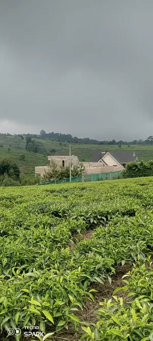 5 Acres Limuru