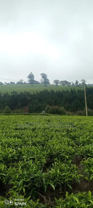 5 Acres Limuru