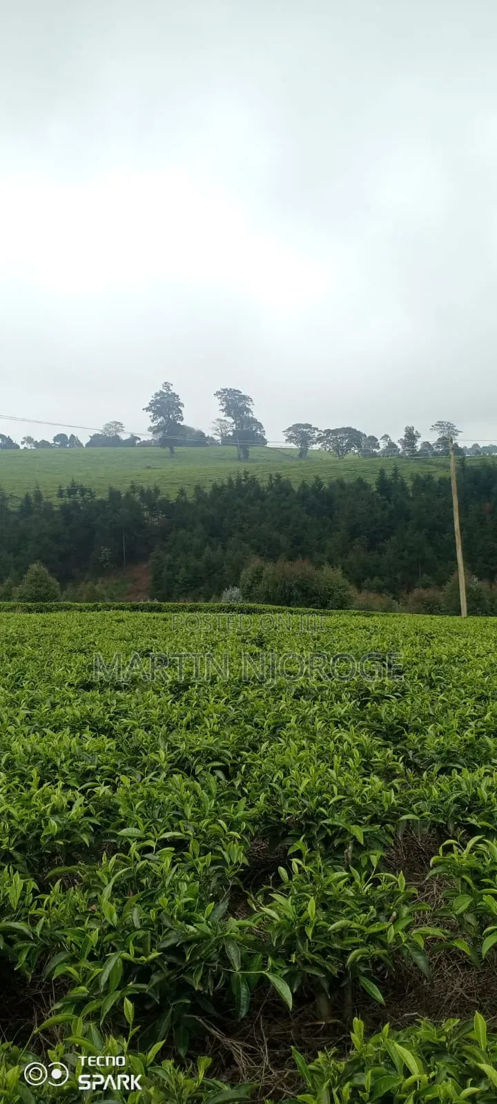 5 Acres Limuru