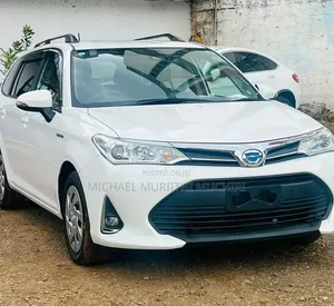 Toyota Corolla Fielder 2019 White