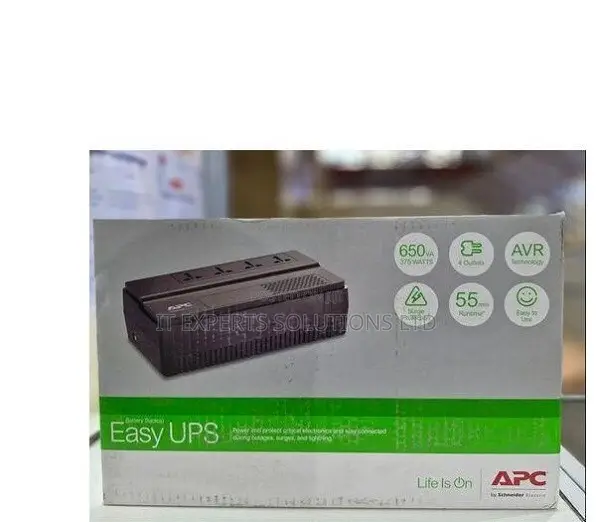 APC Easy Ups Bv 650va