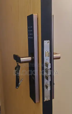 Trinity Smart Locks Kenya