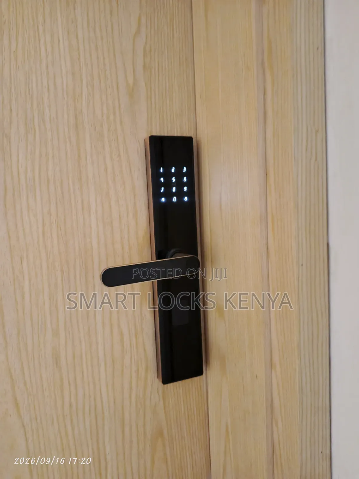 Smary Door Lock With Tuya App Contol Smart Lock
