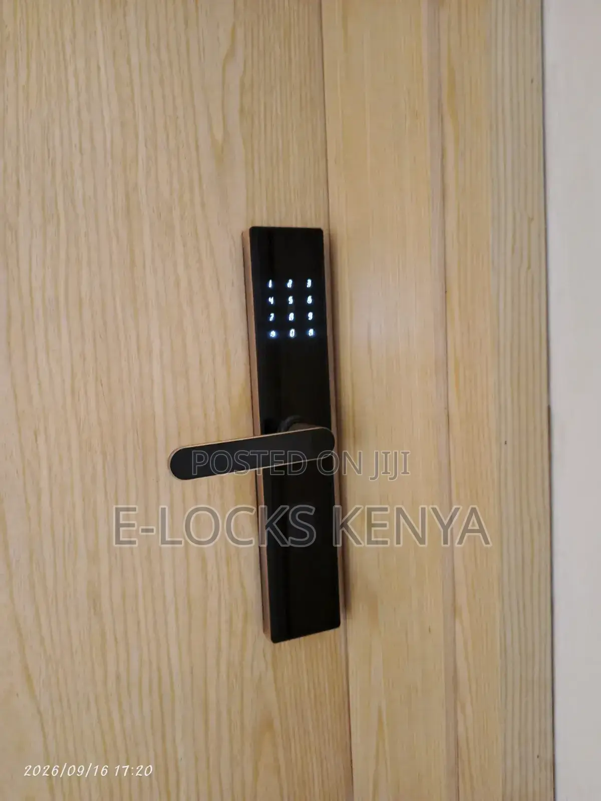 Smary Door Lock With Tuya App Contol Smart Lock