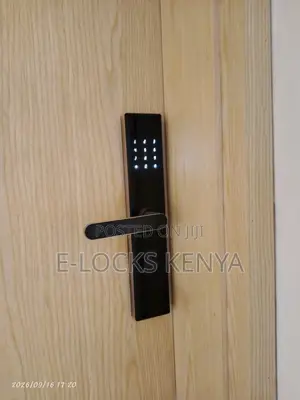 Smary Door Lock With Tuya App Contol Smart Lock