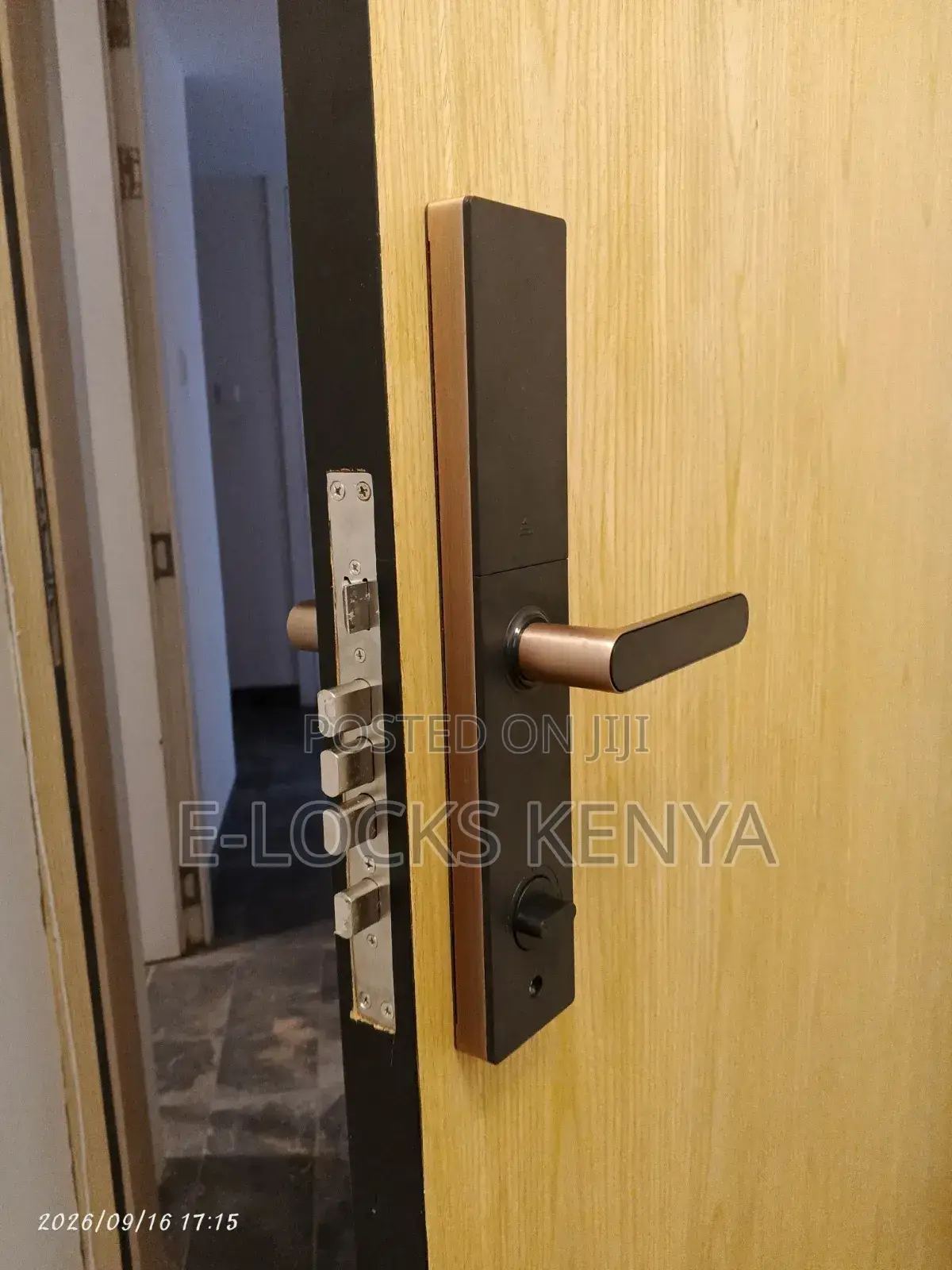 Smart Lock With Tuya App Smart Password Control
