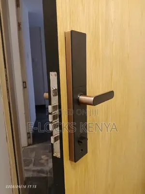Smart Lock With Tuya App Smart Password Control