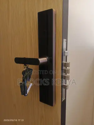 Smart Lock With Tuya App Smart Password Control