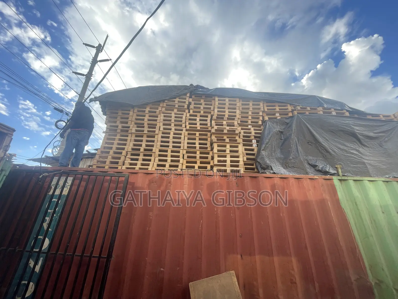 Plywood Pallets