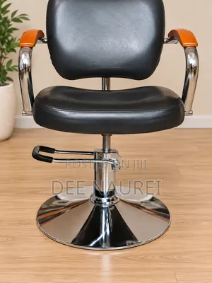 Professional Hydraulic Salon Styling Chair (Excellent Condition)