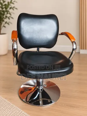 Professional Hydraulic Salon Styling Chair (Excellent Condition)