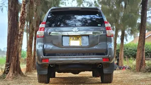 Toyota Land Cruiser Prado 2.8 D-4D 2015 Gray