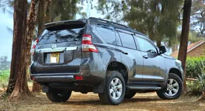 Toyota Land Cruiser Prado 2.8 D-4D 2015 Gray