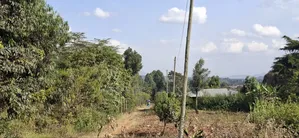 100×100 Residential Plot for Sale – Kikuyu, Kamangu