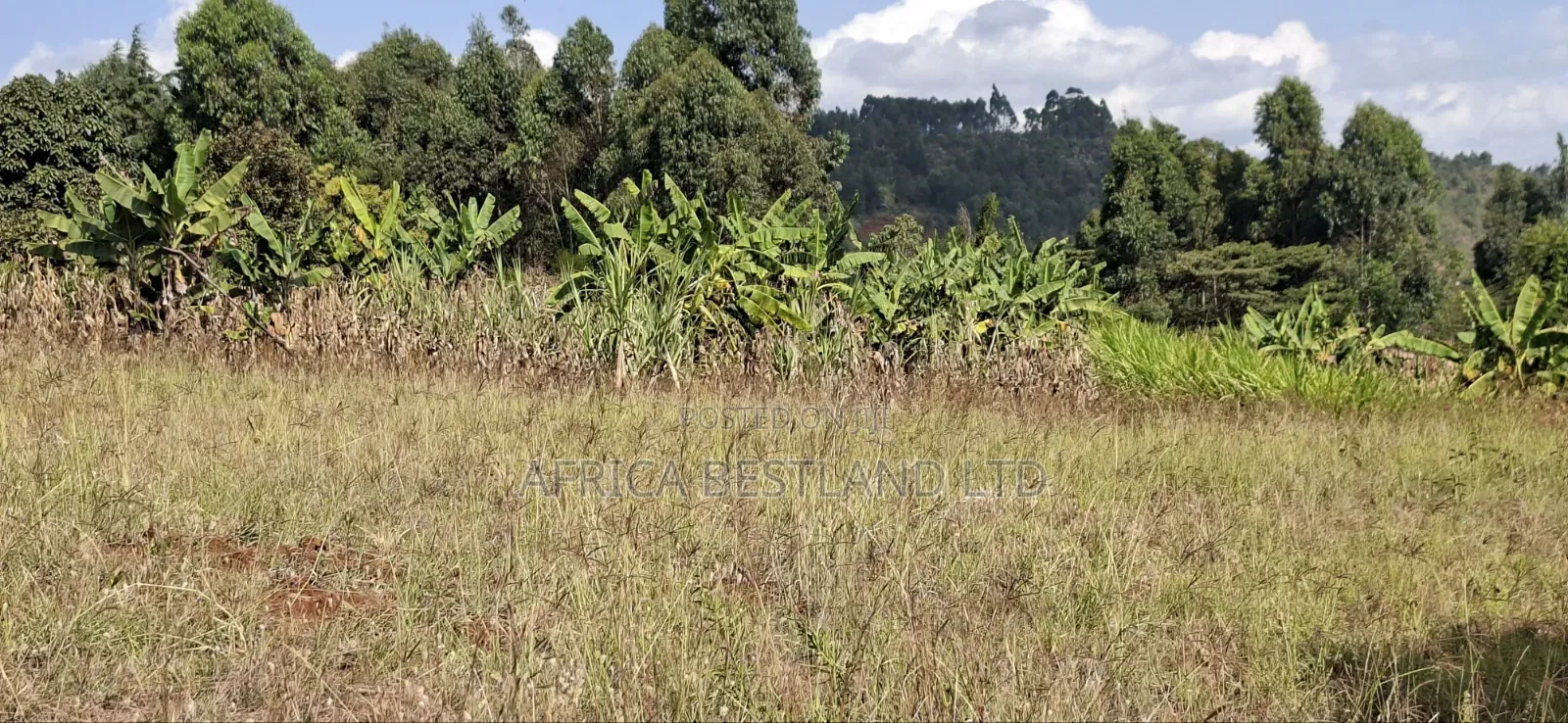 100×100 Residential Plot for Sale – Kikuyu, Kamangu