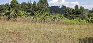 100×100 Residential Plot for Sale – Kikuyu, Kamangu