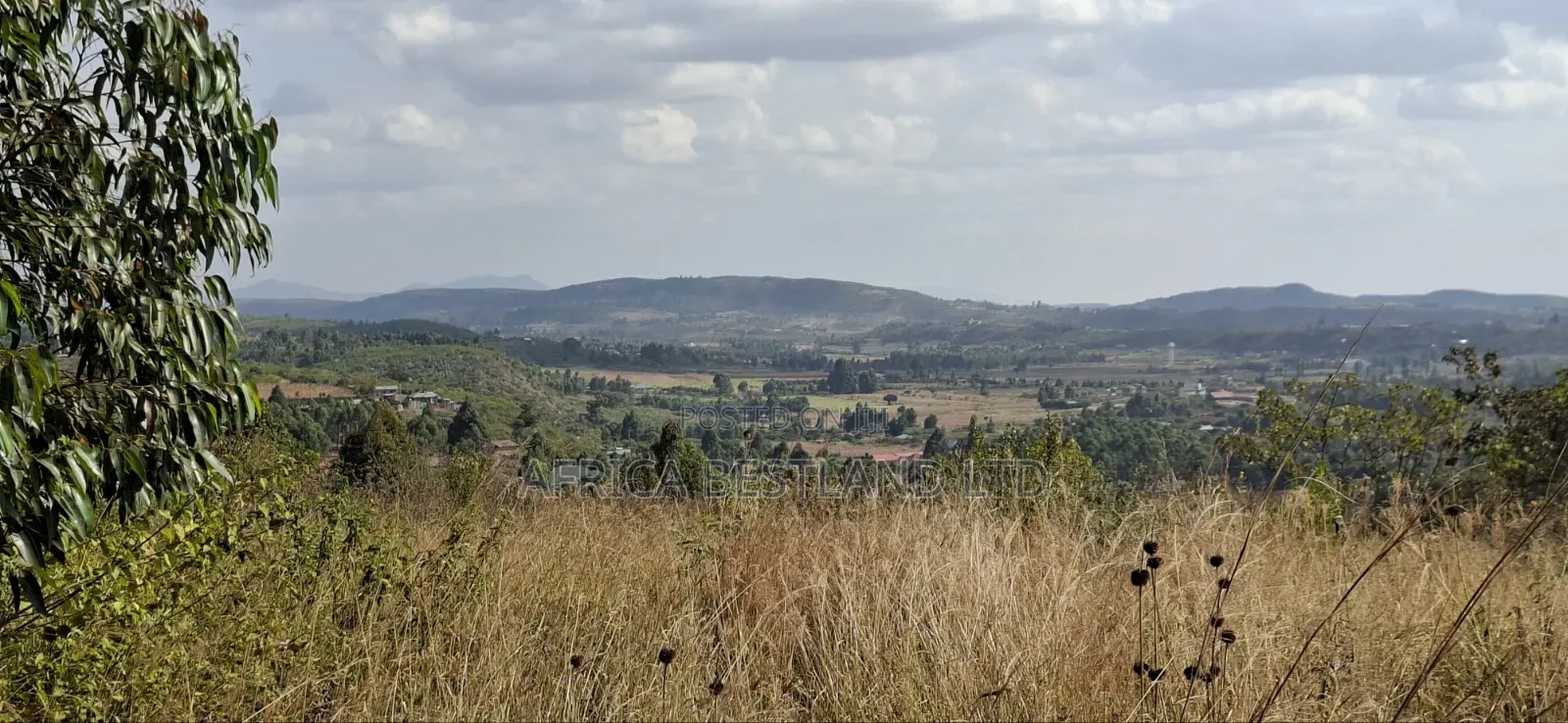 100×100 Residential Plot for Sale – Kikuyu, Kamangu