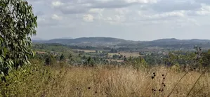 100×100 Residential Plot for Sale – Kikuyu, Kamangu
