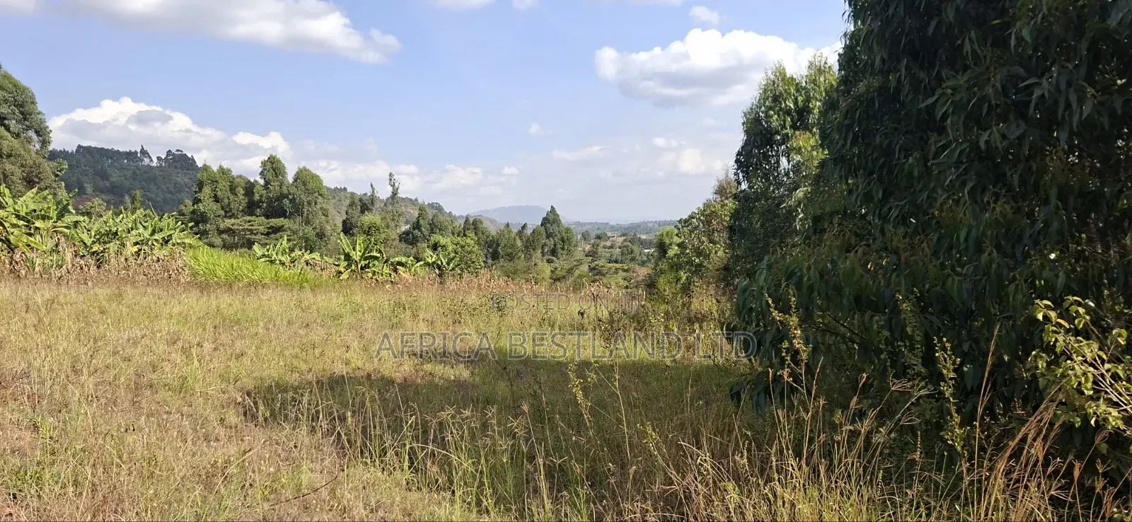 100×100 Residential Plot for Sale – Kikuyu, Kamangu