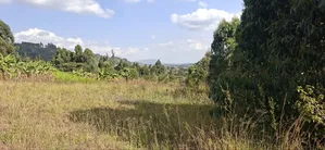 100×100 Residential Plot for Sale – Kikuyu, Kamangu