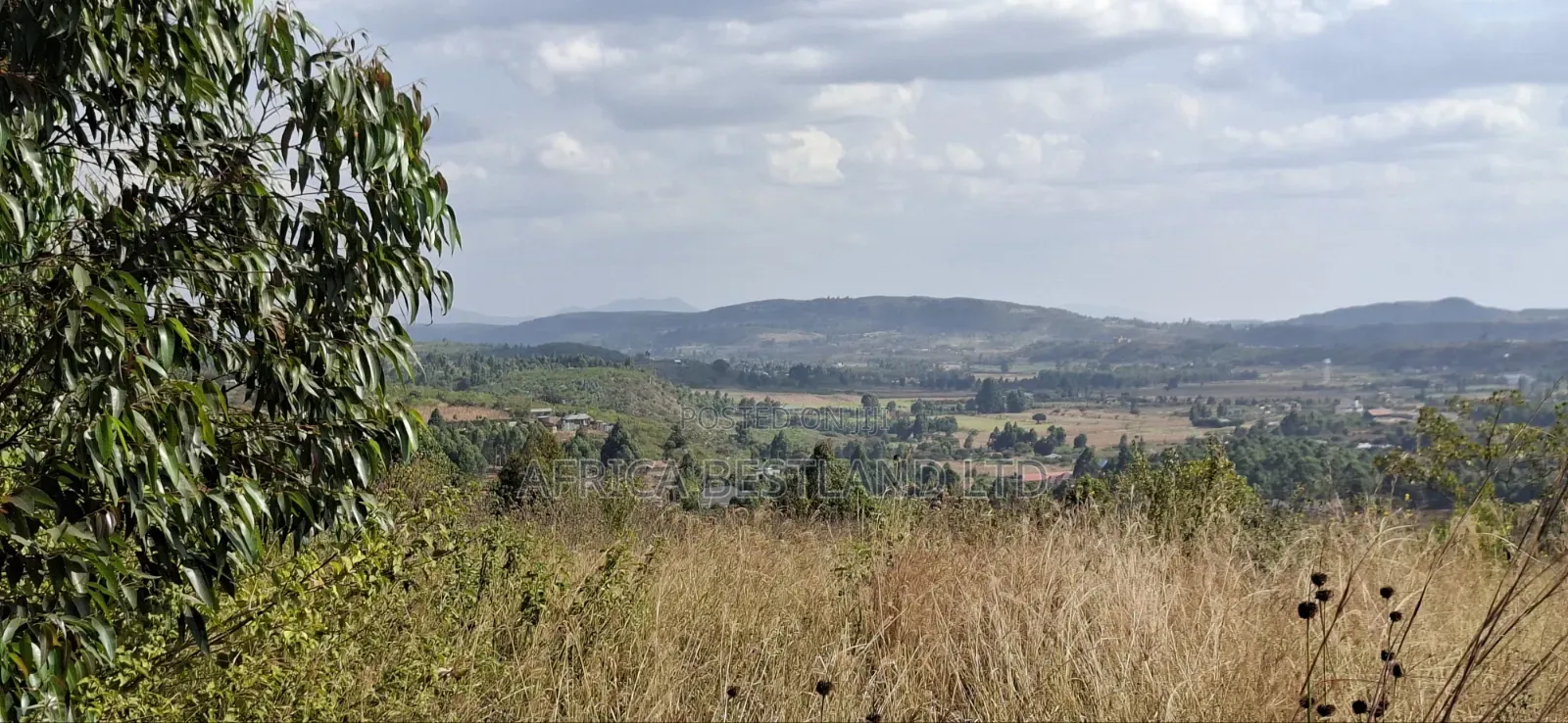 100×100 Residential Plot for Sale – Kikuyu, Kamangu
