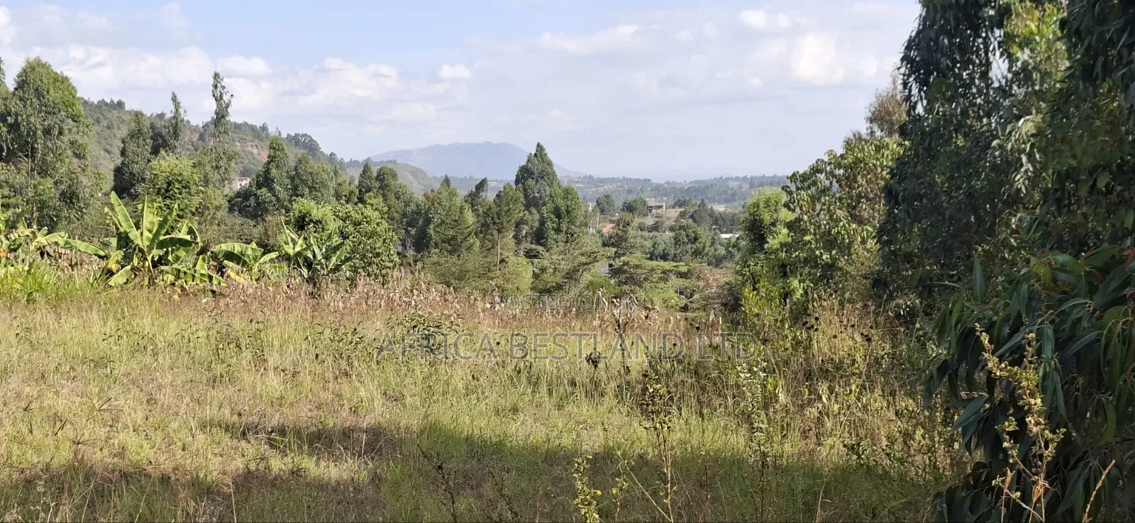 100×100 Residential Plot for Sale – Kikuyu, Kamangu