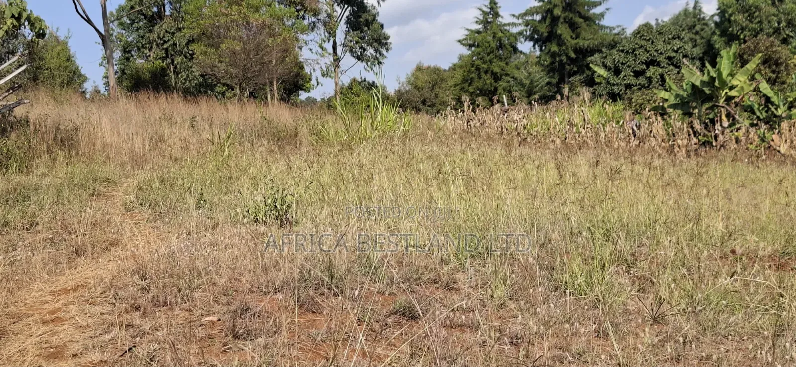 100×100 Residential Plot for Sale – Kikuyu, Kamangu
