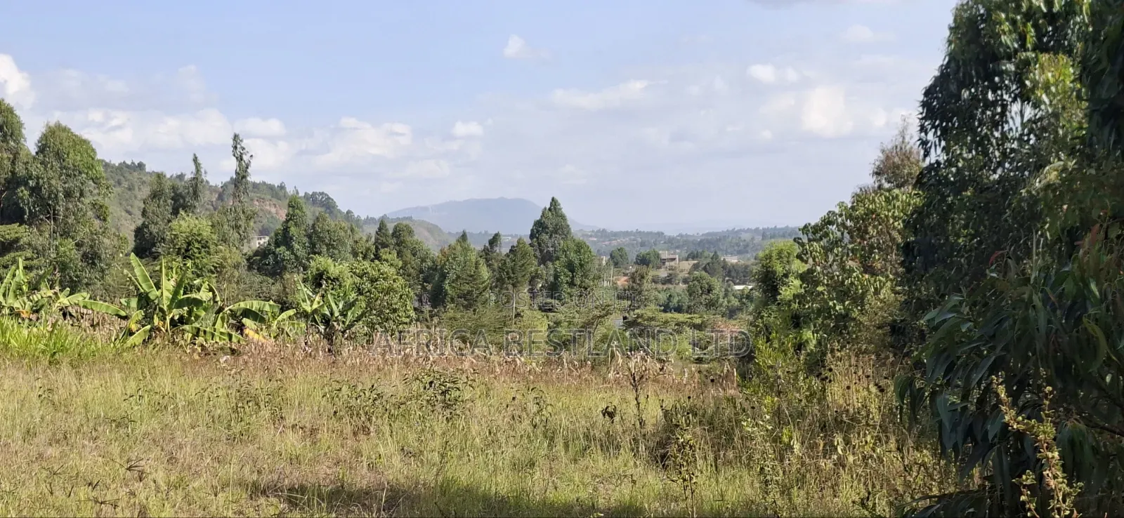 100×100 Residential Plot for Sale – Kikuyu, Kamangu