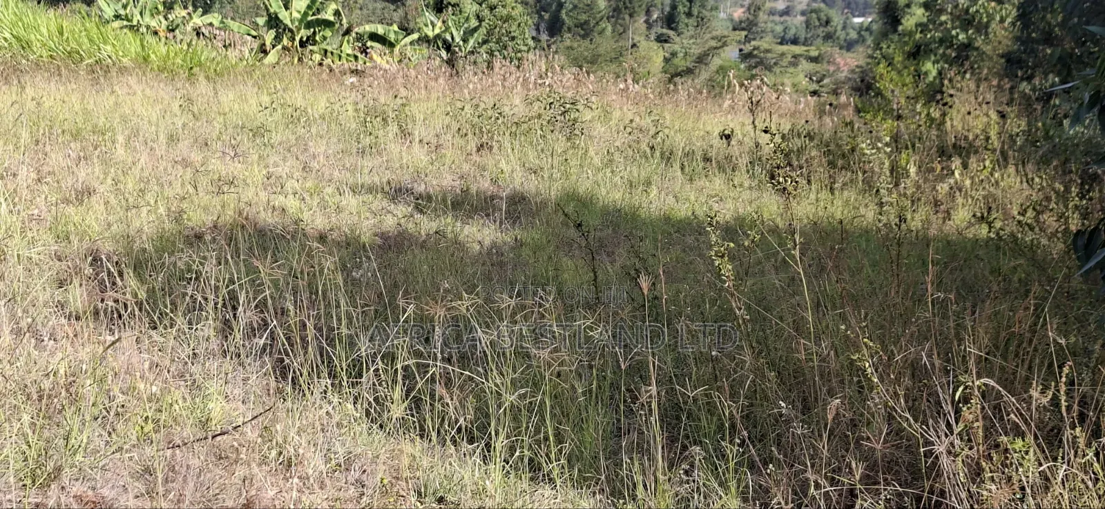 100×100 Residential Plot for Sale – Kikuyu, Kamangu