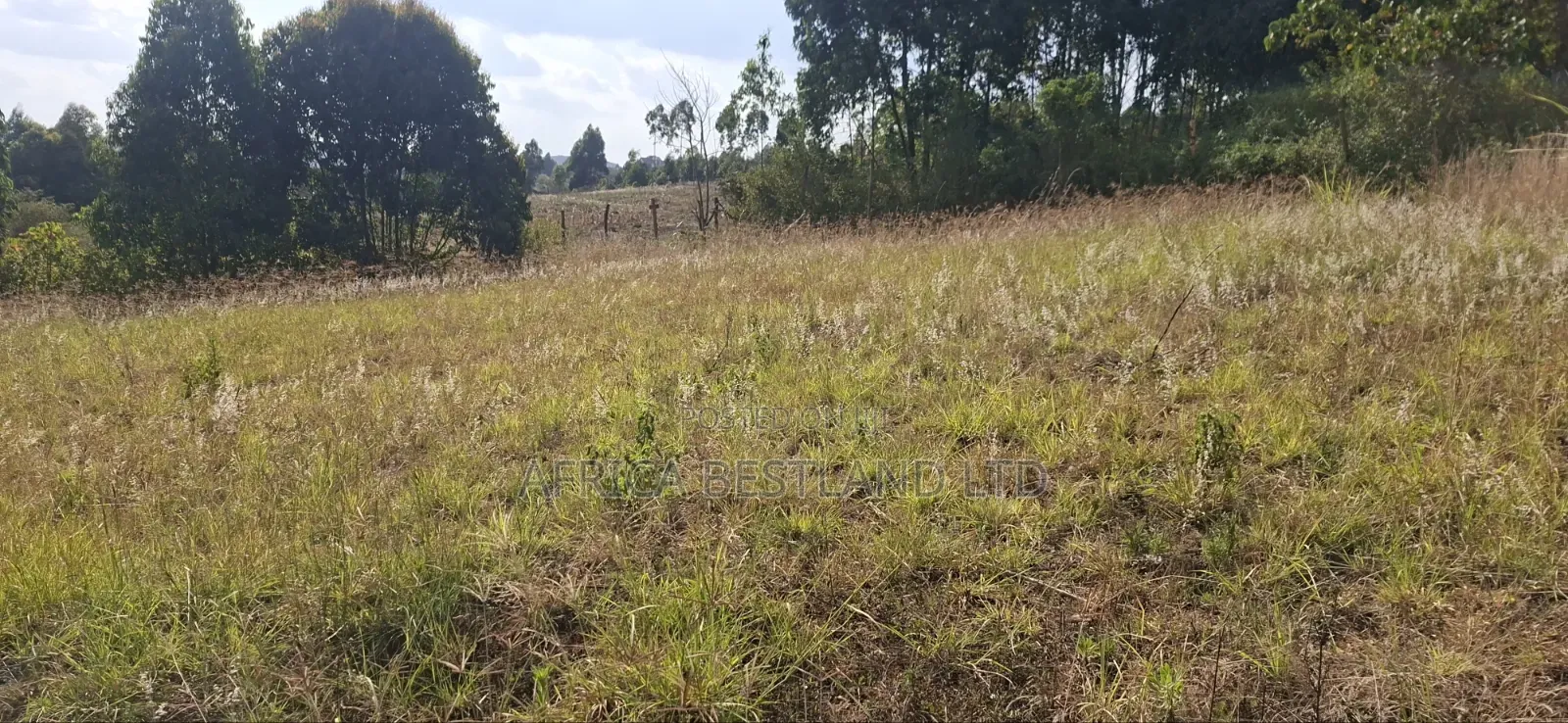 100×100 Residential Plot for Sale – Kikuyu, Kamangu