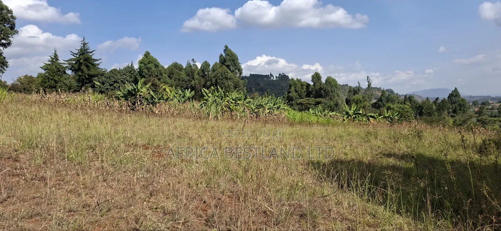 100×100 Residential Plot for Sale – Kikuyu, Kamangu