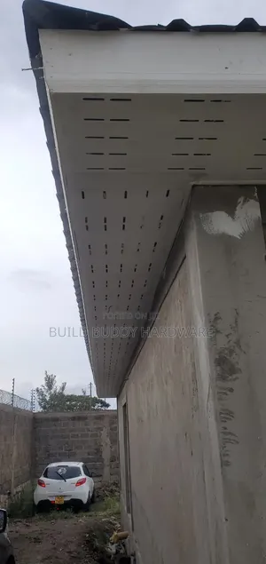 Eave Vent Ceiling