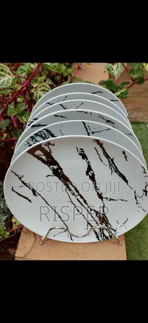 6pcs High Quality Plates