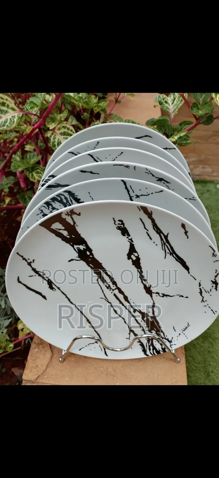 6pcs High Quality Plates